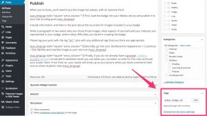 Screenshot of the WordPress post editor, highlighting the tags area of the dashboard.