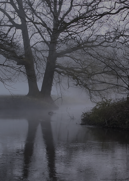 Dinkel River cinemagraph